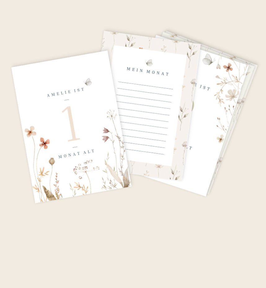 Meilensteinkarten-Set